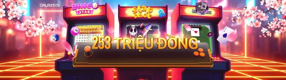 Jogo de dardos profissional