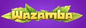 Zip online